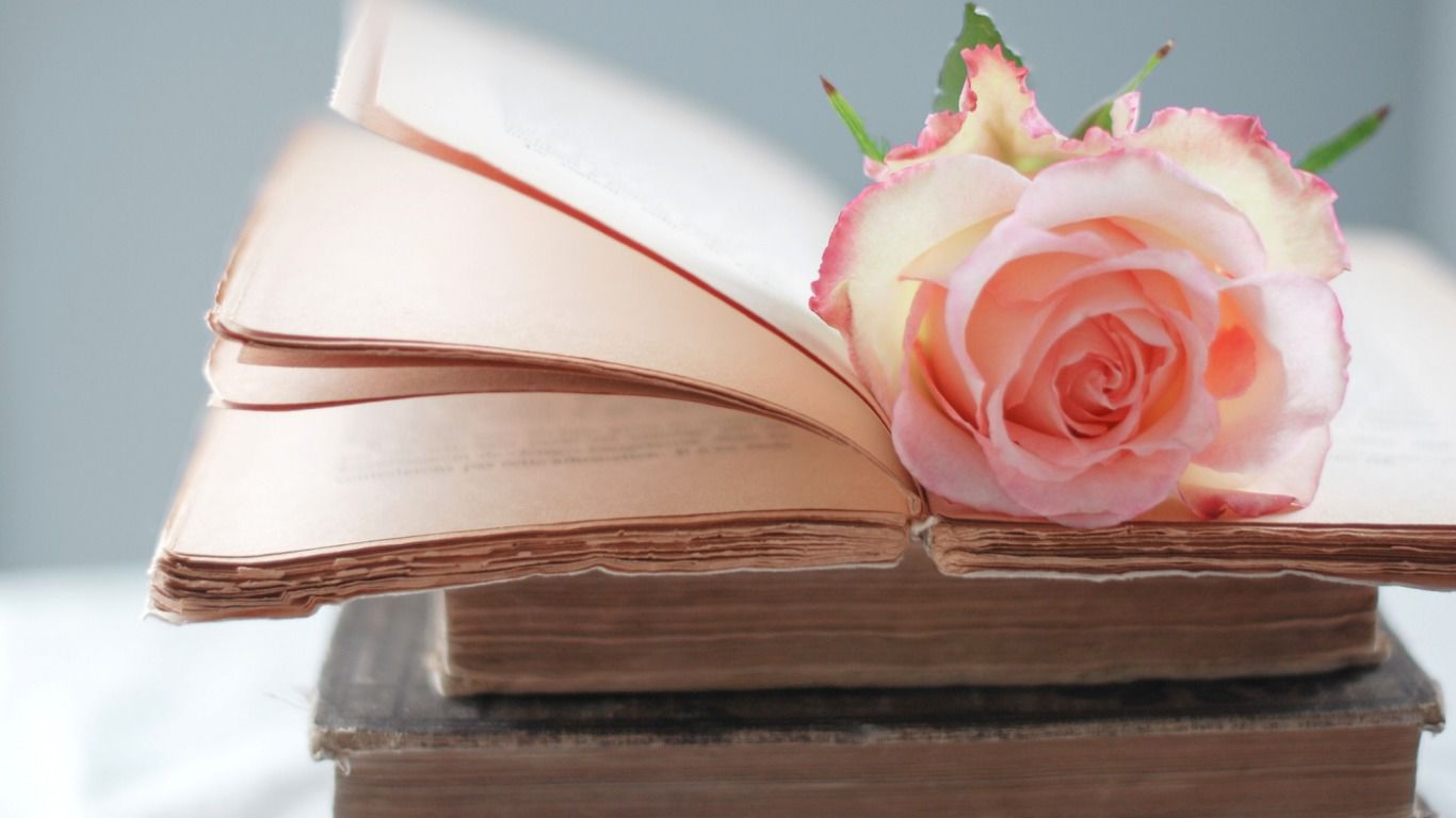 Book with Rose